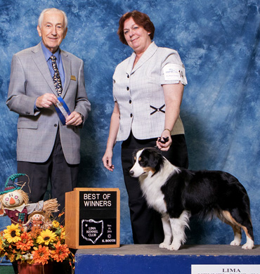 Ember earns Best of Winners at Lima Kennel Club